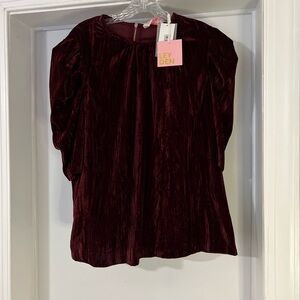 Leyden Sz  XLRib Velvet Puff Sleeve Top Burgundy Red Romantic Dark Fairy Grunge